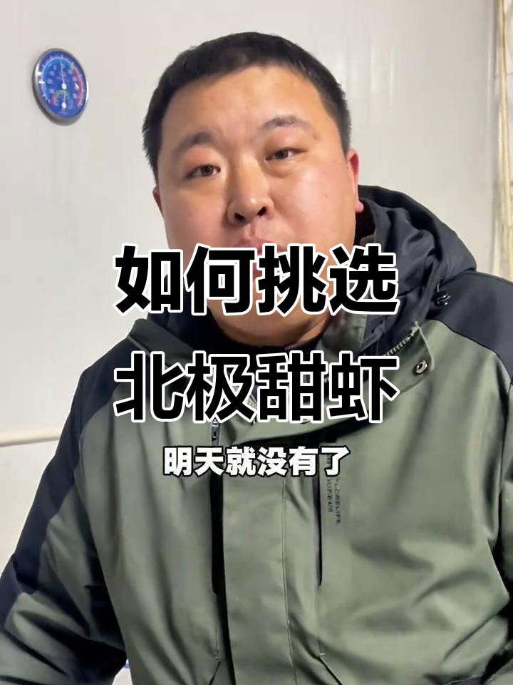 北极甜虾选哪种?头籽率与规格大比拼