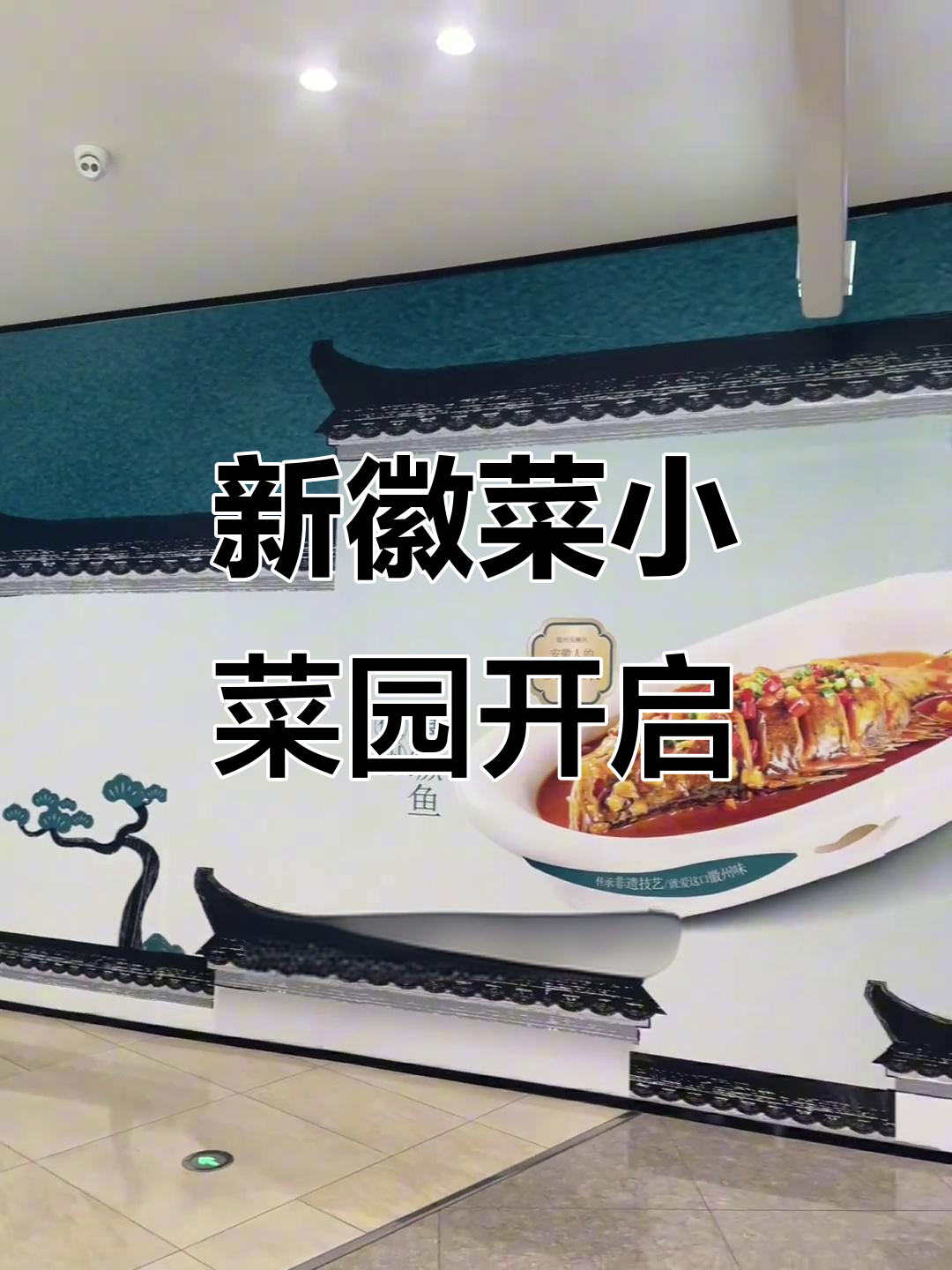 小菜园新徽菜上线!臭鳜鱼和红烧肉必试,四楼等你来挑战