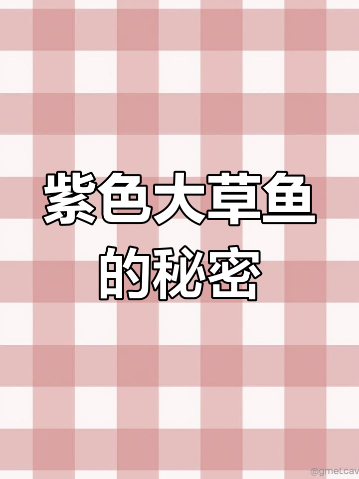 钓到紫色大草鱼,血肉全是紫的!
