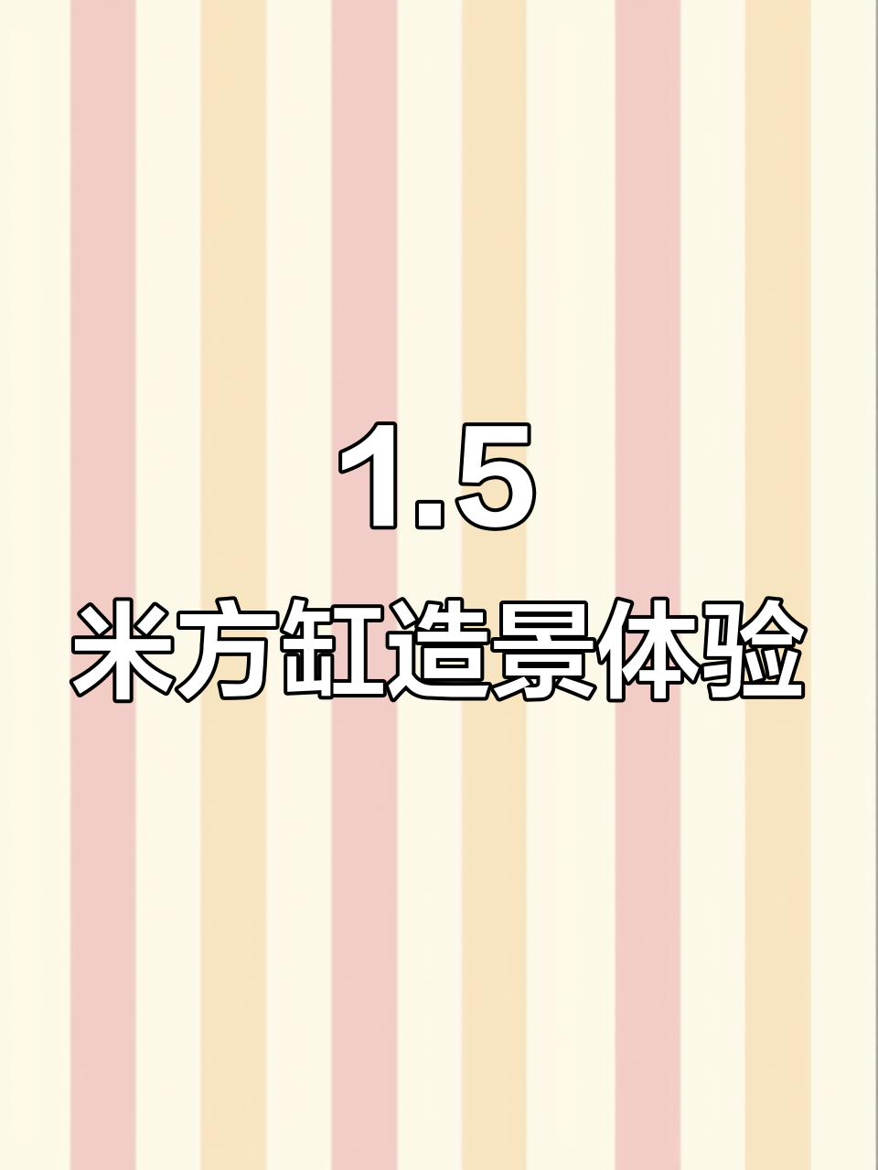 一米五方缸造景，细节满满又简单，孔雀鱼新家大变身