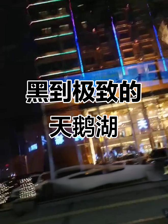 石家庄天鹅湖大酒店,黑得彻底!
