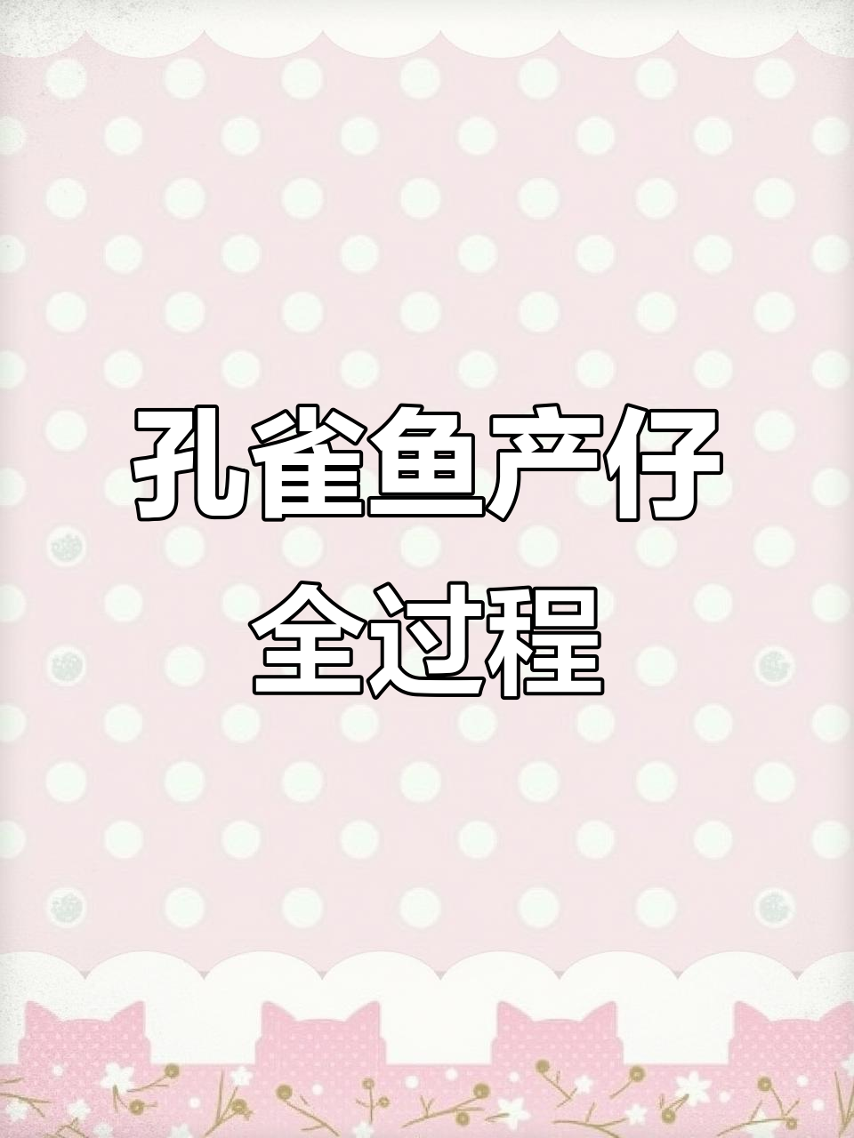 孔雀鱼母鱼生产全流程揭秘，如何判断是否即将分娩