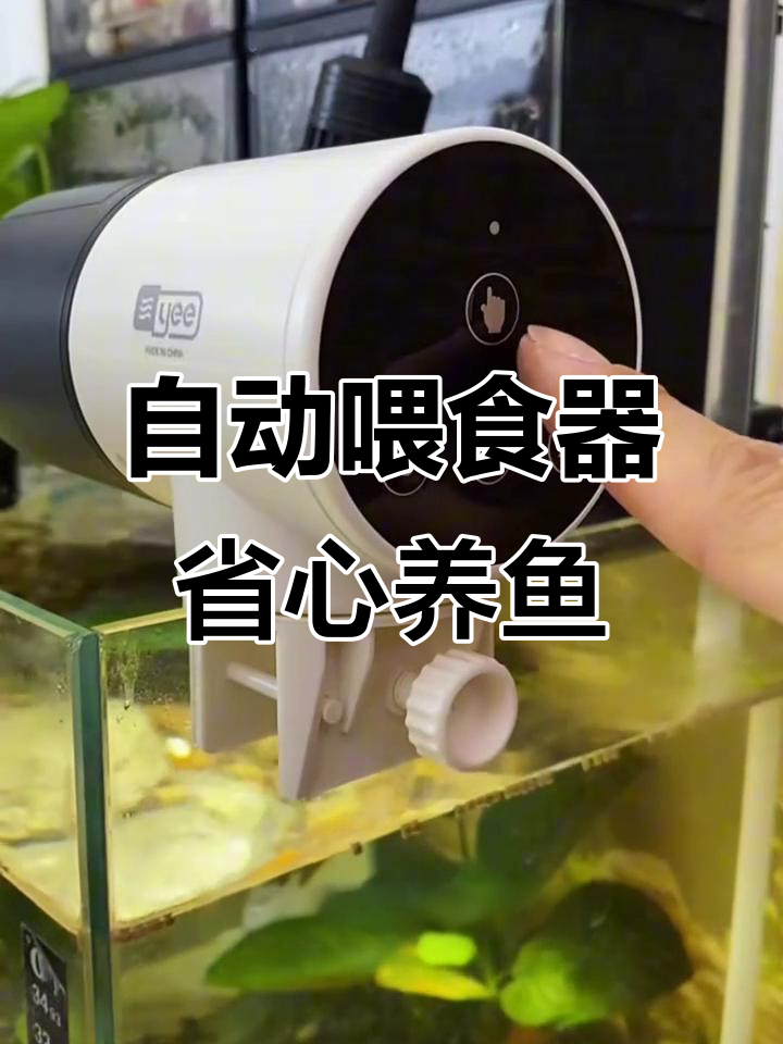 鱼缸自动喂食器,让你出差无忧,智能控制喂食量