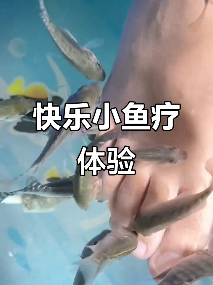 星子鱼足浴,轻松享受“痒痒”按摩!