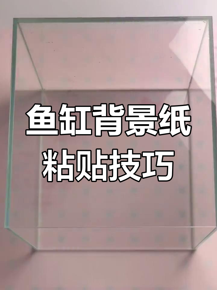 如何给鱼缸贴背景纸提升美观