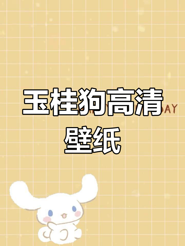 超萌玉桂狗壁纸,可爱到爆