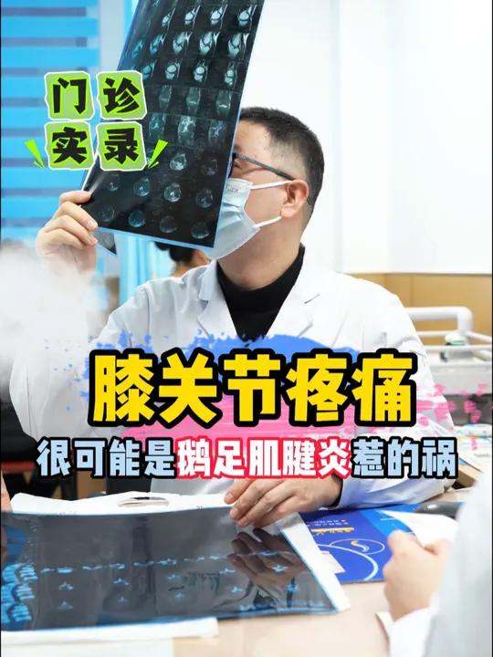 膝关节疼痛,很可能是鹅足肌腱炎惹的祸