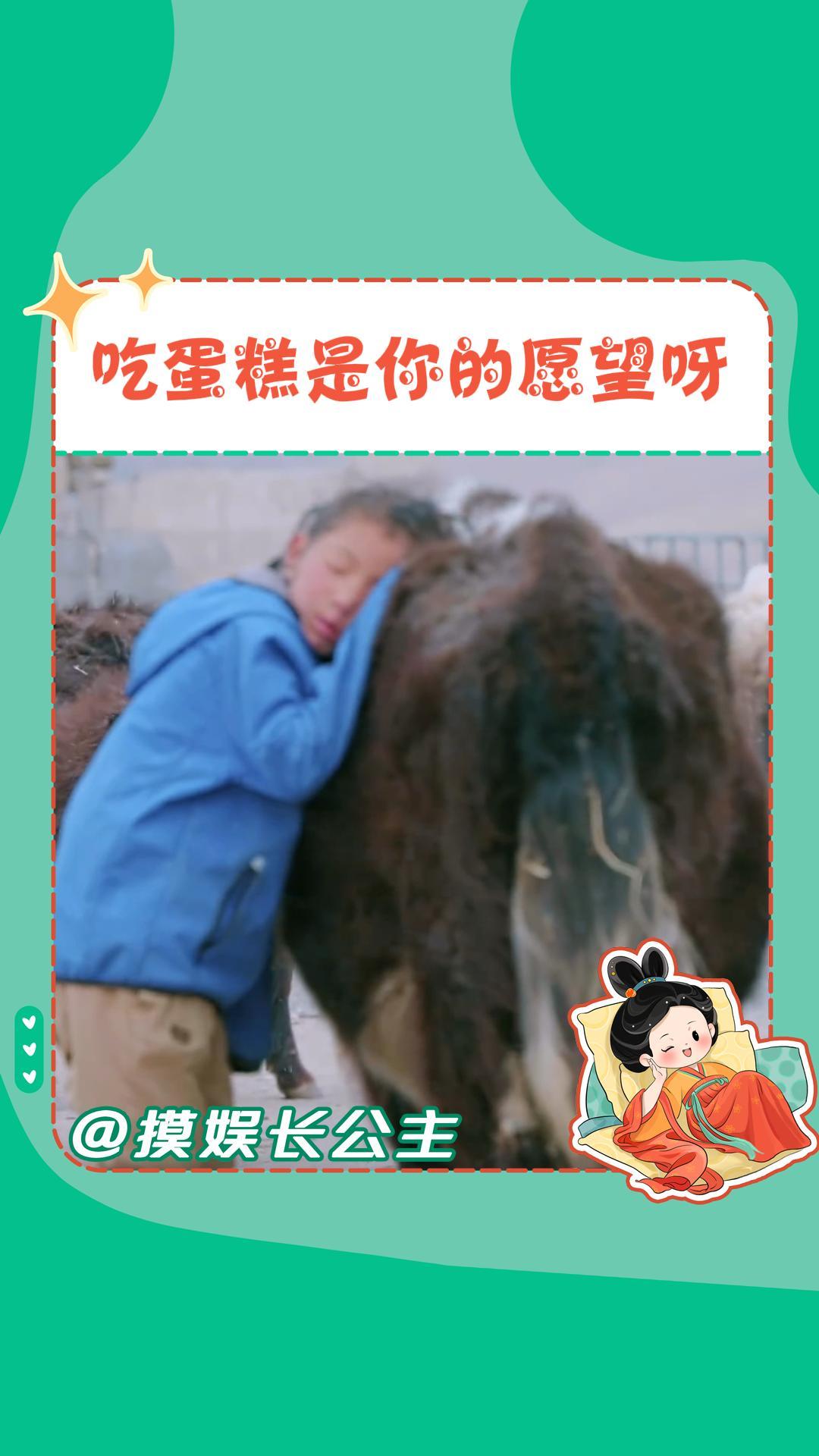 种地吧第3季 小女孩吃蛋糕这段怎么这么好哭啊,听到 鹭卓 那句“妹妹,是你的愿望噢”简直一