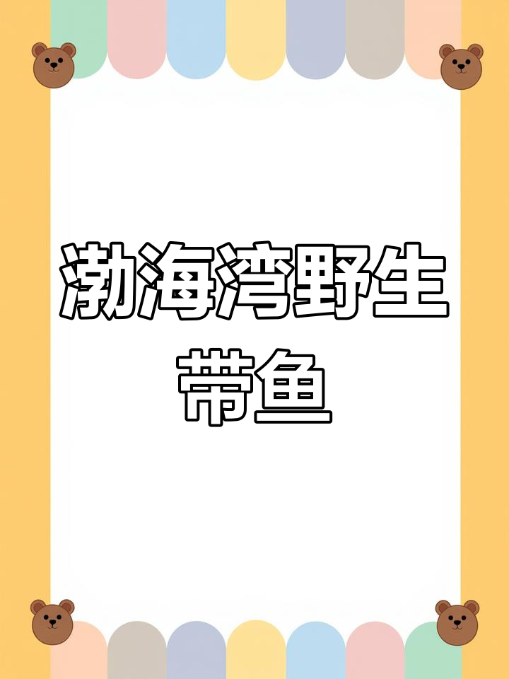 渤海湾野生带鱼，肉质鲜美无骨刺，冷水慢长更美味