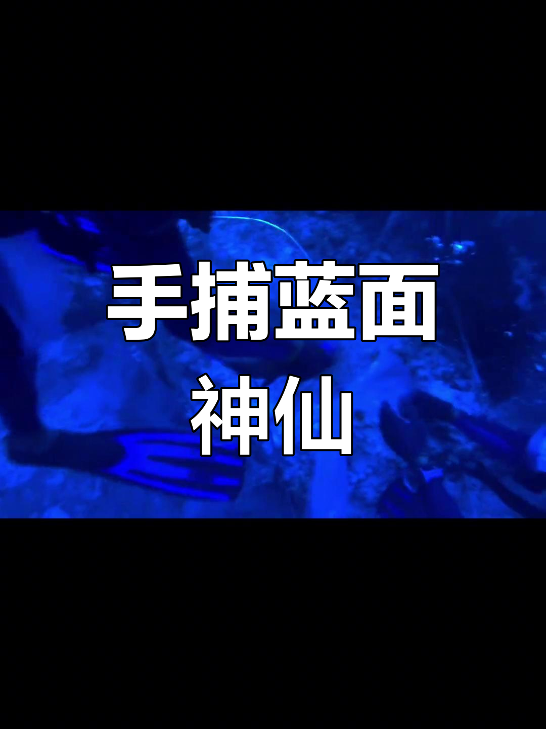 马尔代夫渔场手捕蓝面神仙鱼,潜水员挑战极限操作