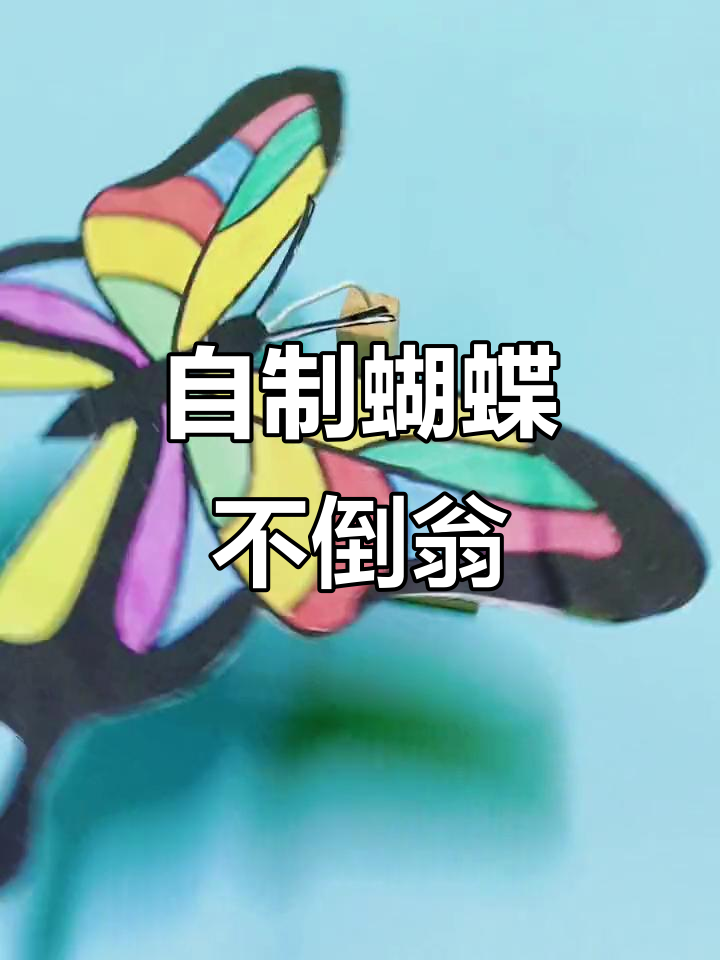 蝴蝶不倒翁手工制作,指尖上的平衡艺术