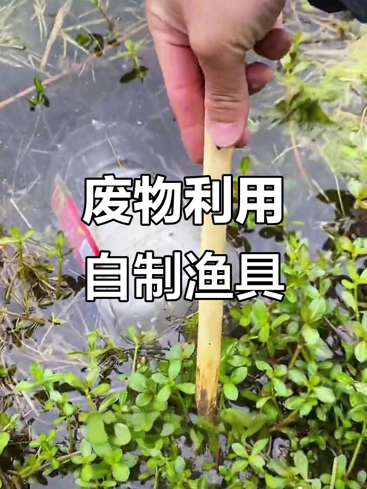 用废旧饮料瓶做捕鱼工具,轻松钓到大鱼熬汤