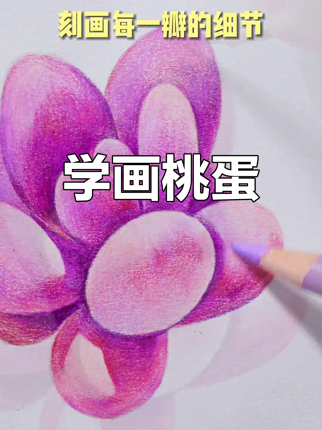 零基础彩铅教程:绘制多肉植物