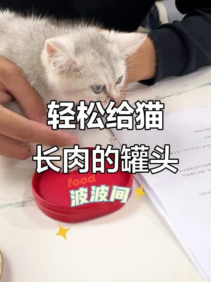 金枪鱼白肉罐头,猫咪增重不再难