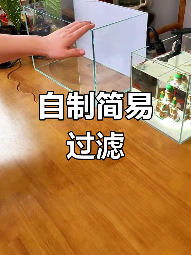 废塑料瓶变鱼缸过滤器,轻松自制水妖精