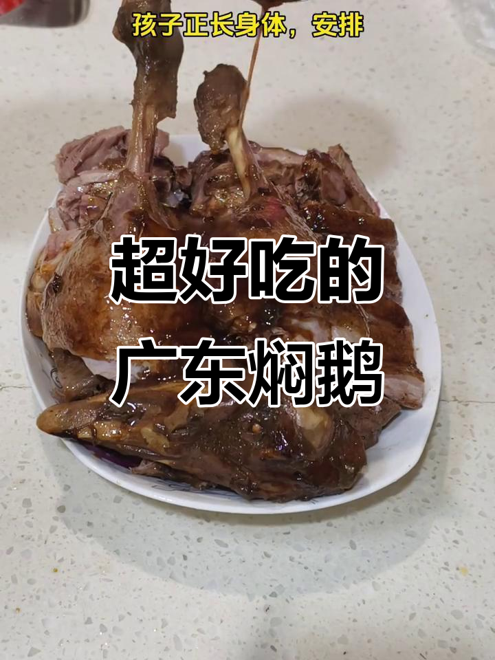 广东经典焖鹅,孩子老人都爱吃,味道超赞