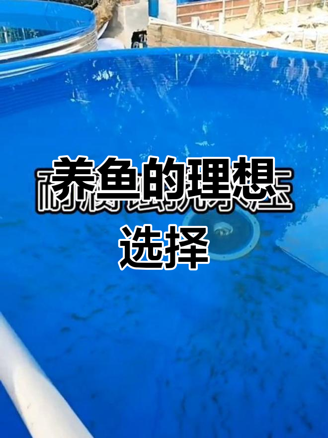圆形水箱+镀锌板,养鱼必备神器
