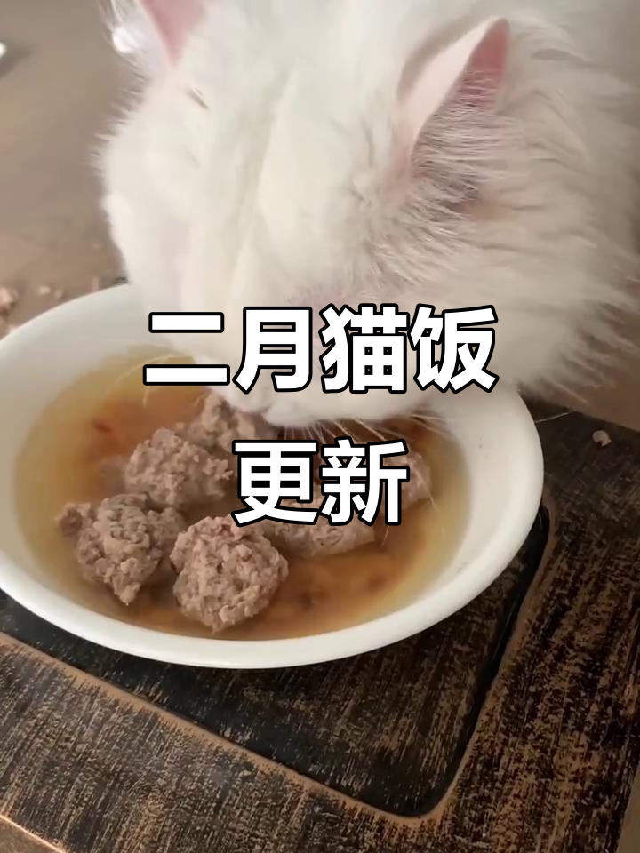 久违更新,猫饭食谱二月版上线!