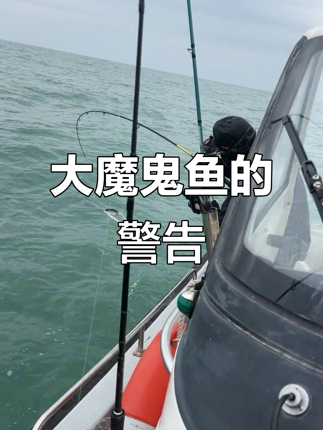 魔鬼鱼来袭!尾巴有毒,小心别被掐到