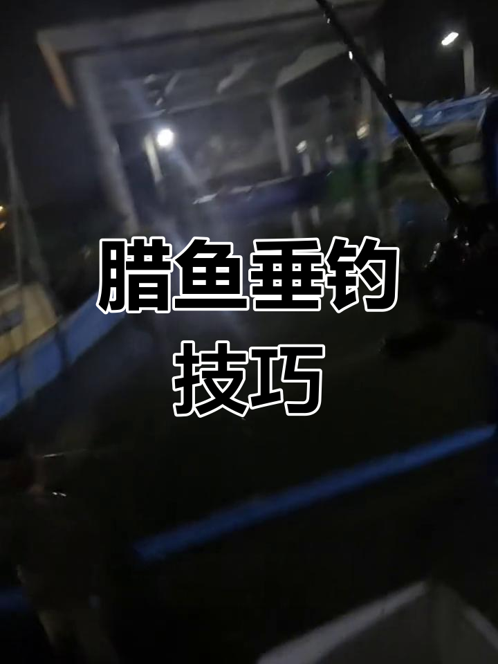 岸筏钓腊鱼技巧,轻松掌握沉底钓法
