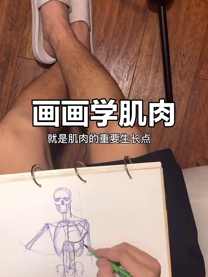 王脑丝教你画肌肉，轻松掌握上半身骨骼与肌理