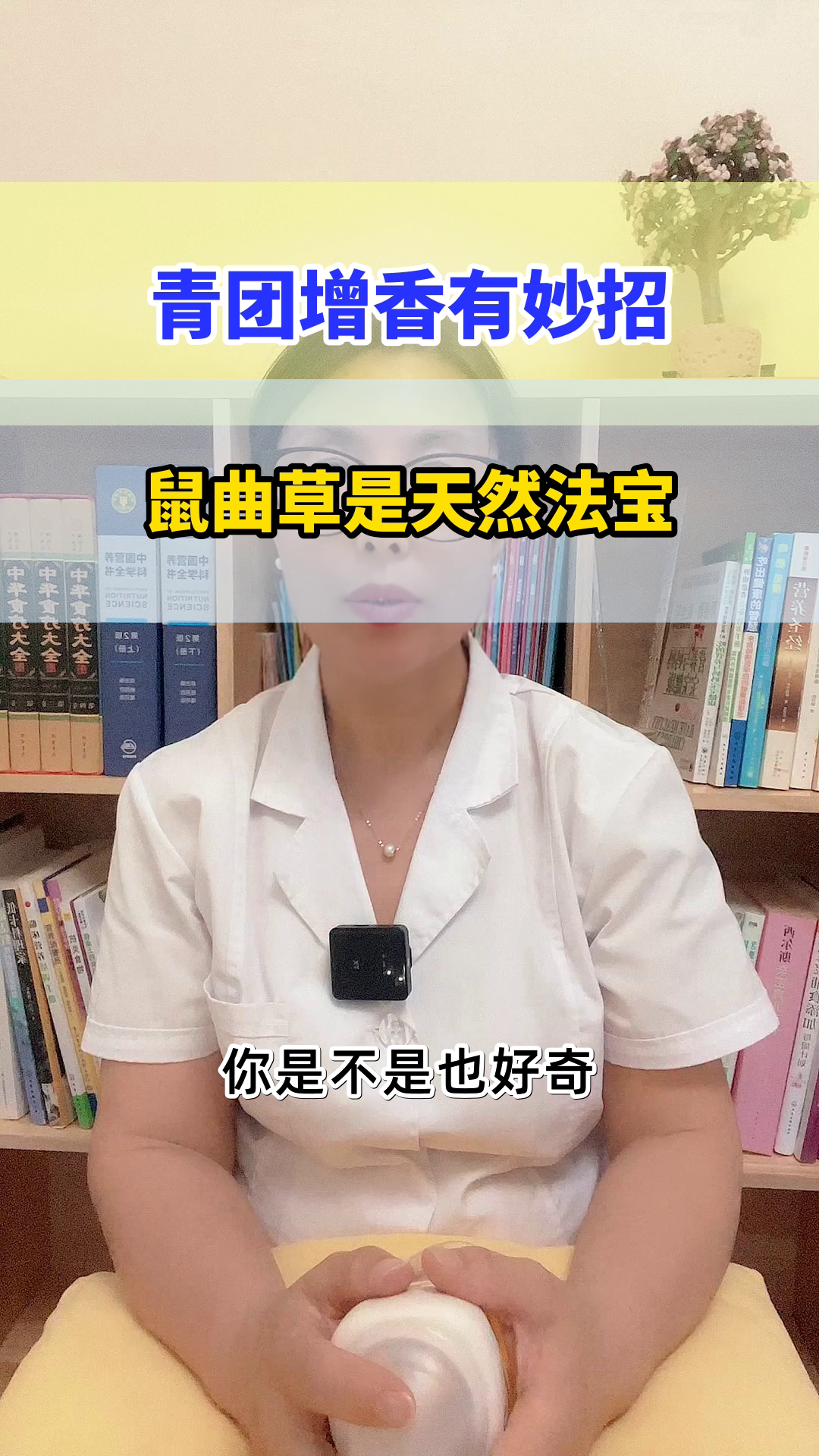 青团香秘诀：鼠曲草的妙用