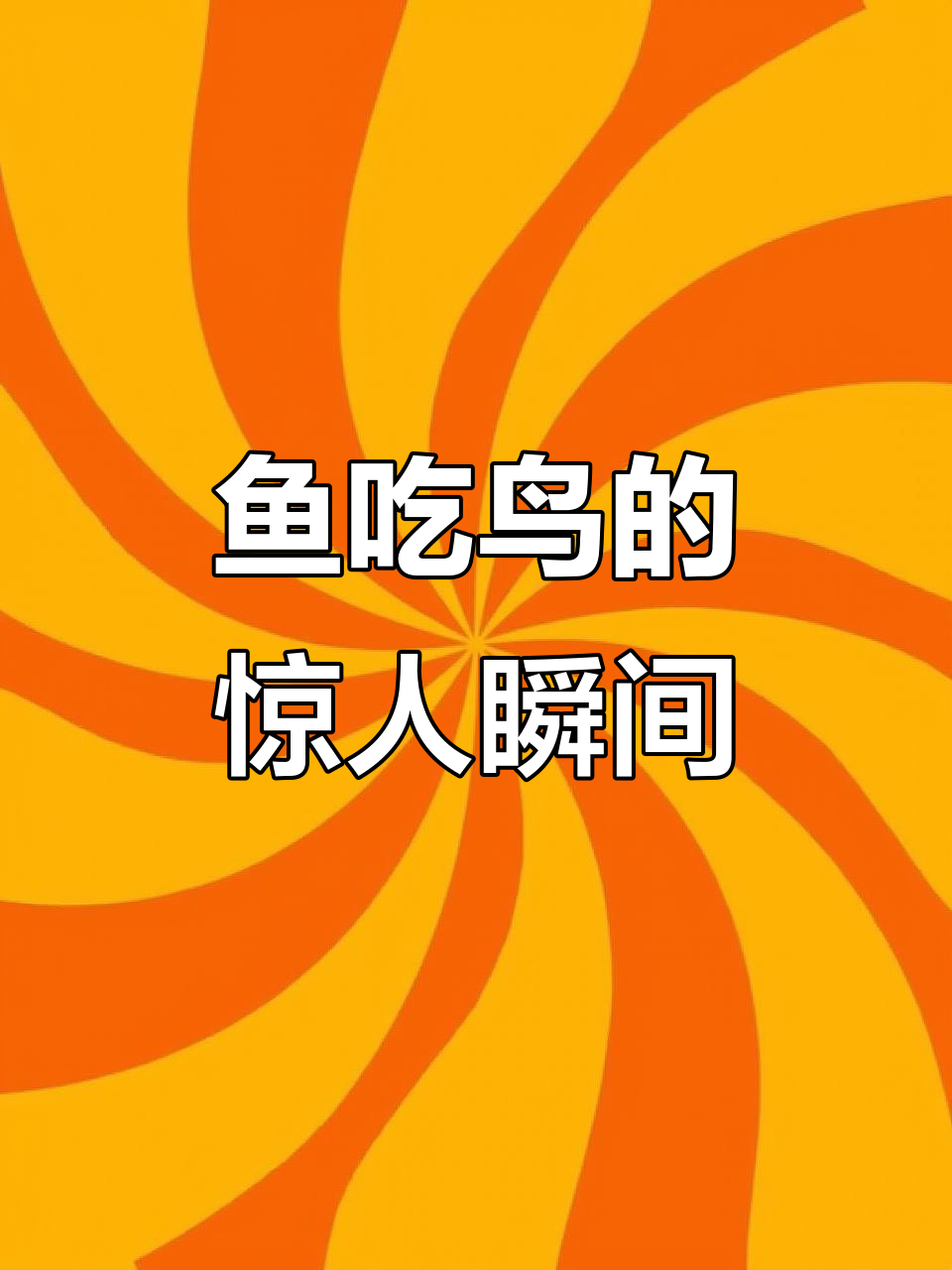 巨型鲶鱼捕食鸽子,罕见一幕颠覆认知