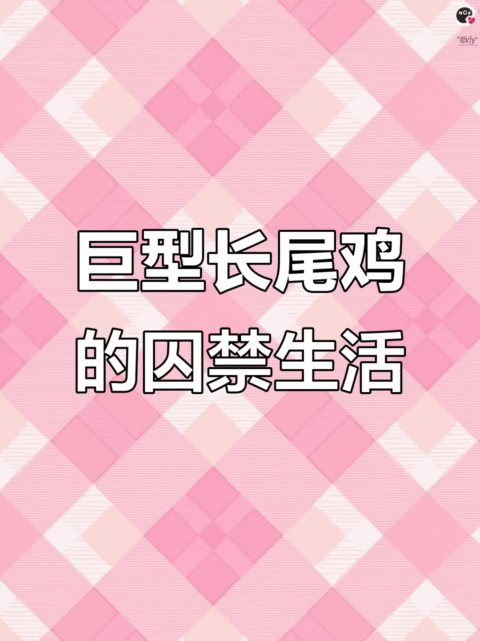 日本最长的长尾鸡,身陷笼中无法自由飞翔