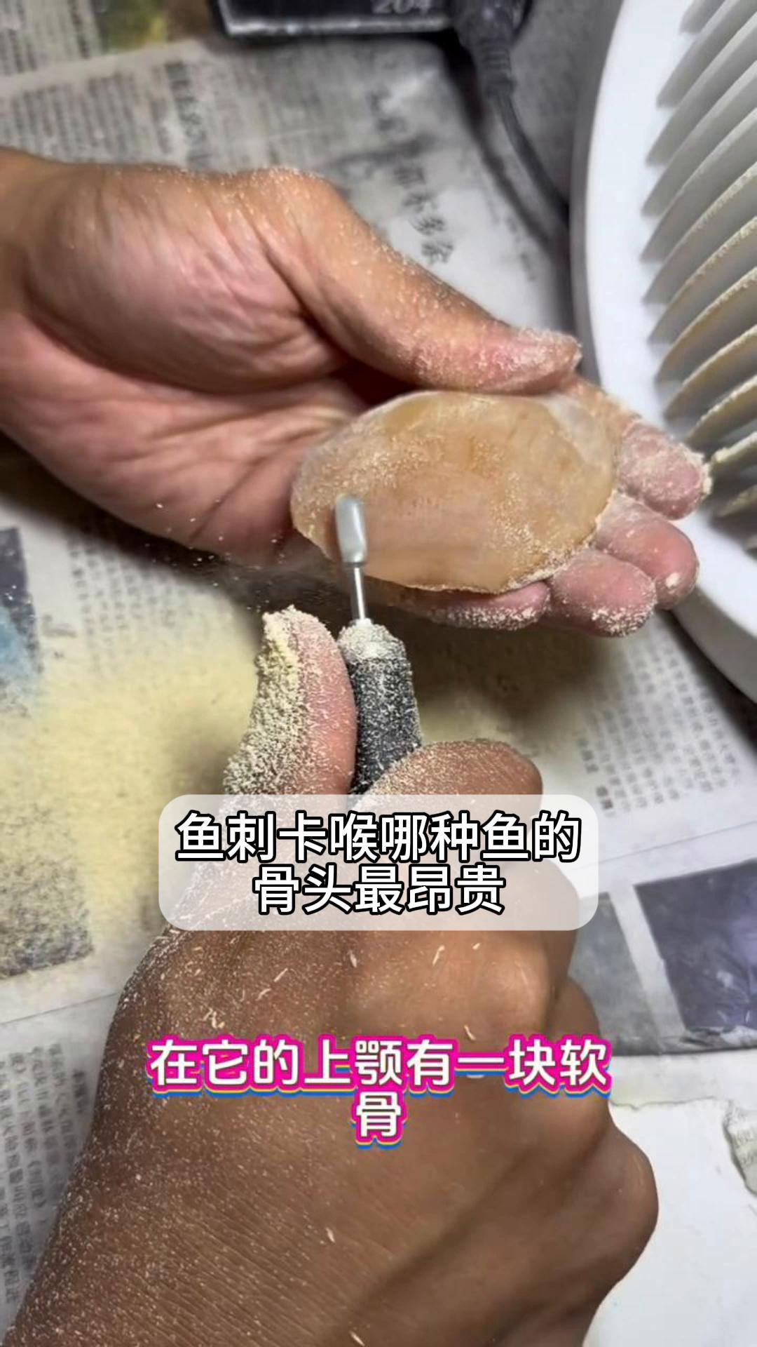 鱼刺卡喉,哪种鱼的骨头最昂贵?