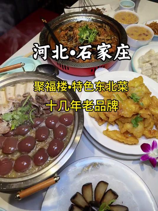 石家庄十几年老东北菜!小鸡炖蘑菇第二天热一下更好吃了!