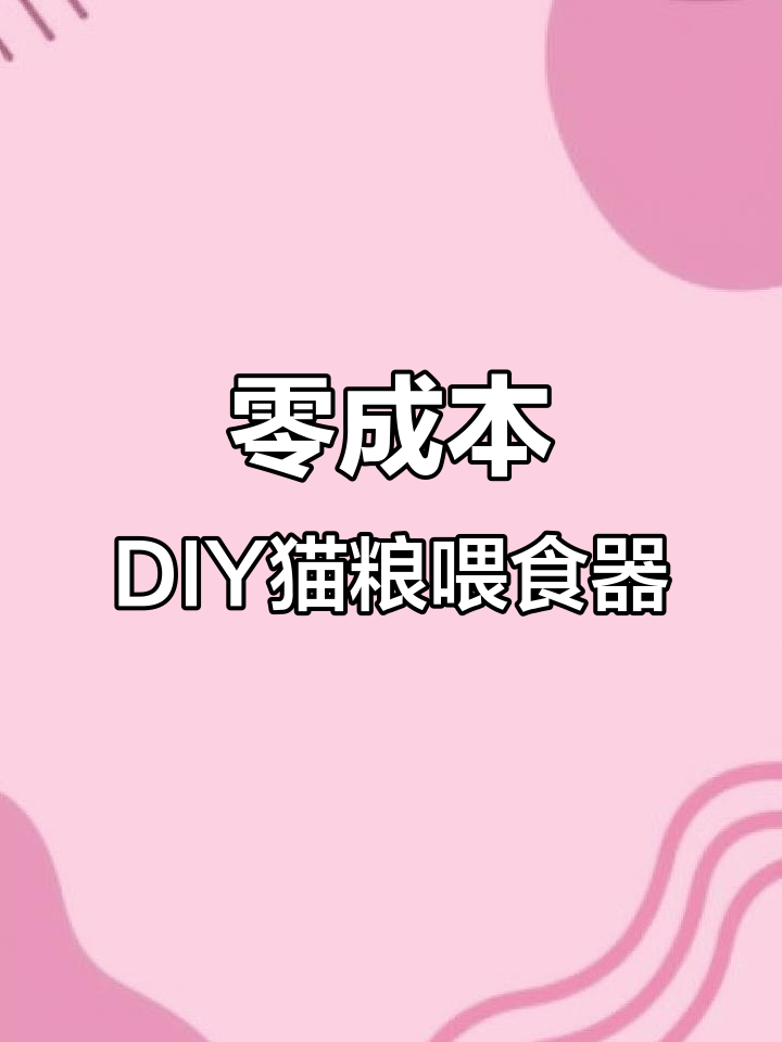 用废旧瓶子做猫咪喂食器,简单又实用