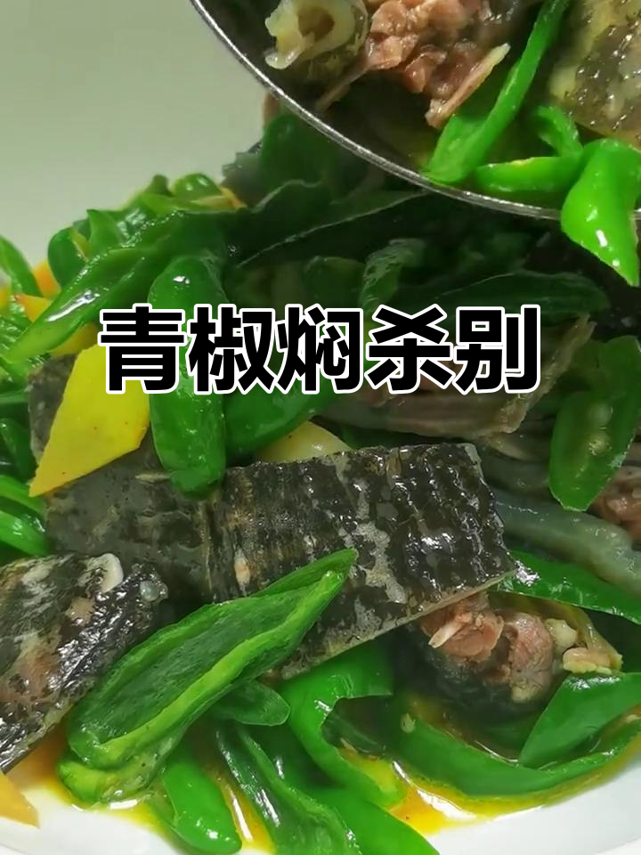 青椒焖沙鳖,鲜香四溢,口感超赞!