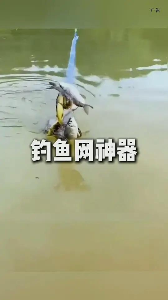 新型捕鱼神器钓鱼就用这个方法,轻轻松松爆网