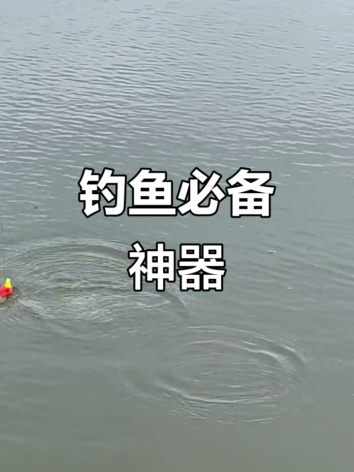 小仙郎浮漂,自动找底,夜钓神器,灵敏度超高!