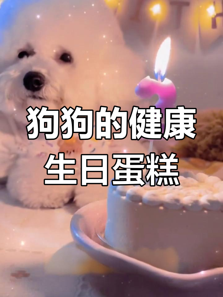 狗狗生日蛋糕,健康最重要!