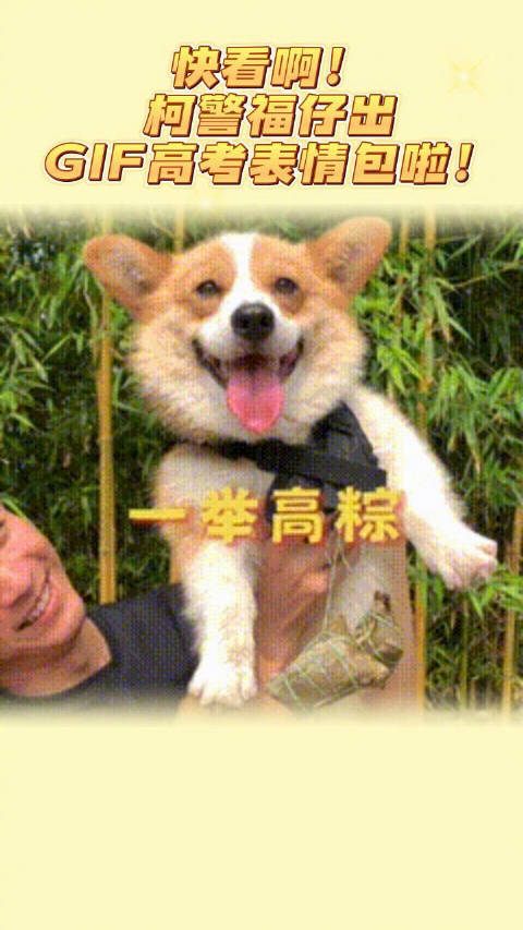快看!柯警“福仔”GIF动图高考表情包来啦!福仔祝大家一举高“粽”!快去潍坊公安视频号内领