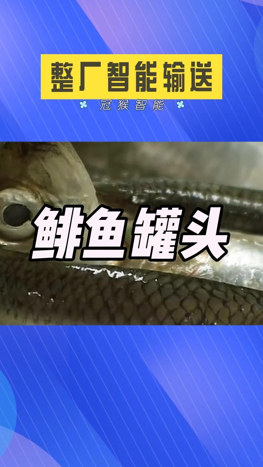自动化运输输送线