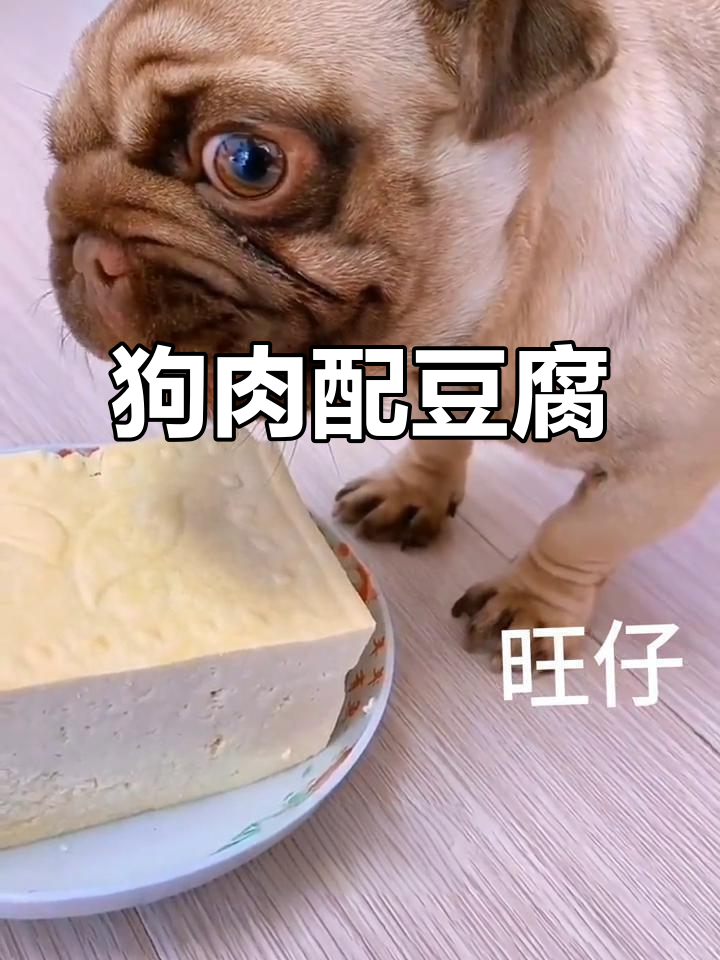 豆腐炖狗肉,味道竟然这么搭!