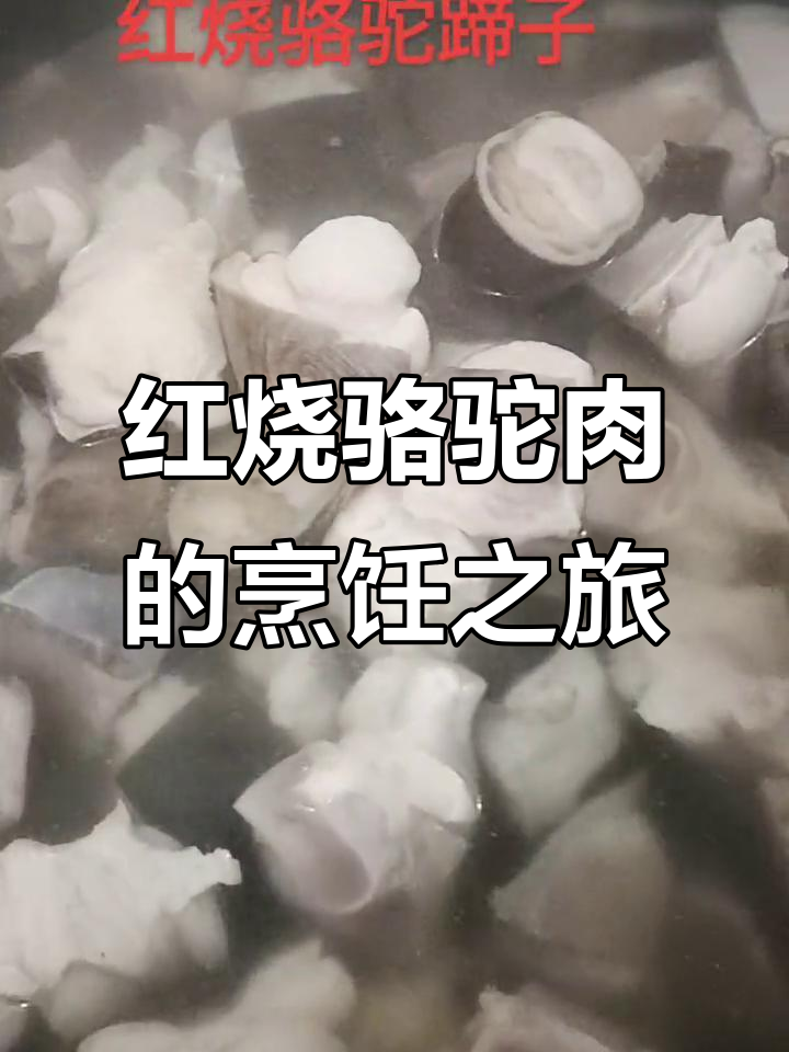 八小时炖制骆驼肉,红烧美味让人怀念