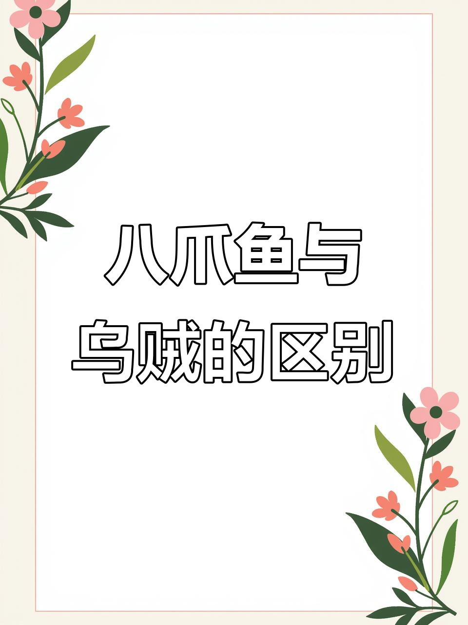 章鱼、墨鱼和鱿鱼的辨别,别再傻傻分不清了!