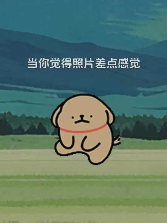 当小鸡毛觉得照片差点意思