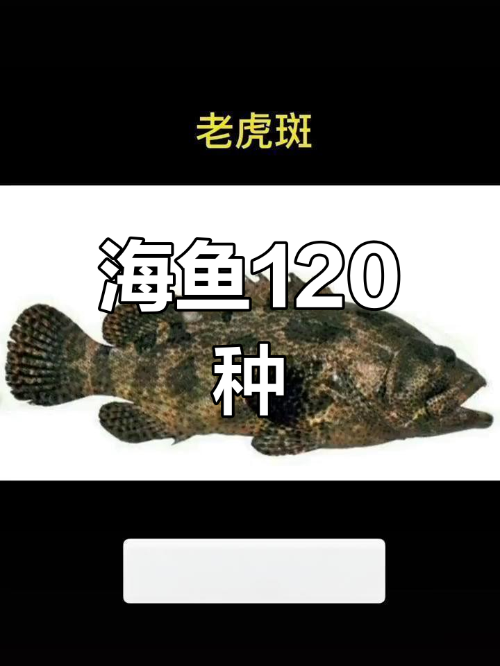 常见海鱼种类大揭秘