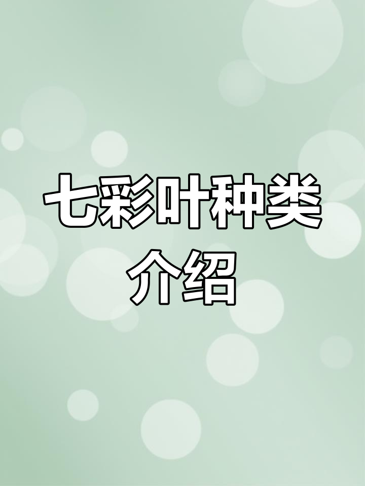 七彩神仙鱼品种解析