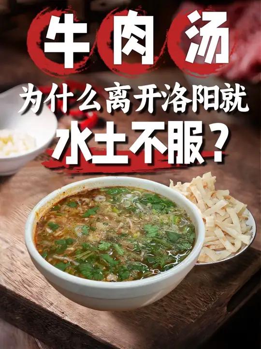 牛肉汤还得来洛阳才好喝！郑州就不能开个好喝的吗