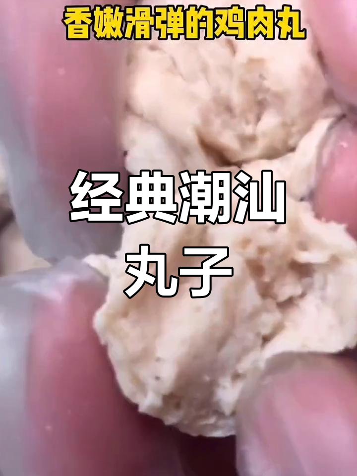 潮汕丸子种类大揭秘