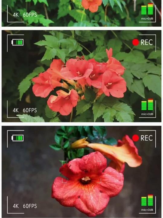 魅力中草药每日一药之凌霄花,全景展示药材从田间到药房的生命历程!药为医之魂,药材好、药才好