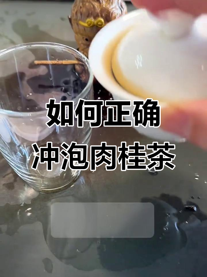 解锁肉桂茶的正确泡法，让你秒懂如何享受每一口