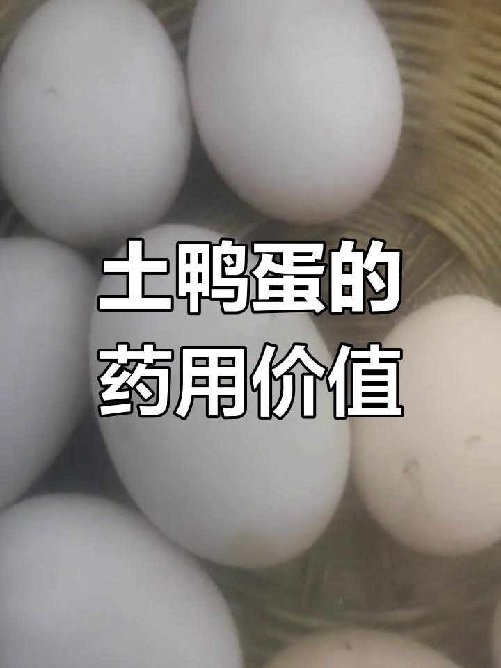土鸭蛋的营养价值与药用功效,滋阴清热效果好