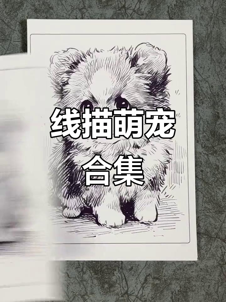 30张A5线描动物,尽显萌态