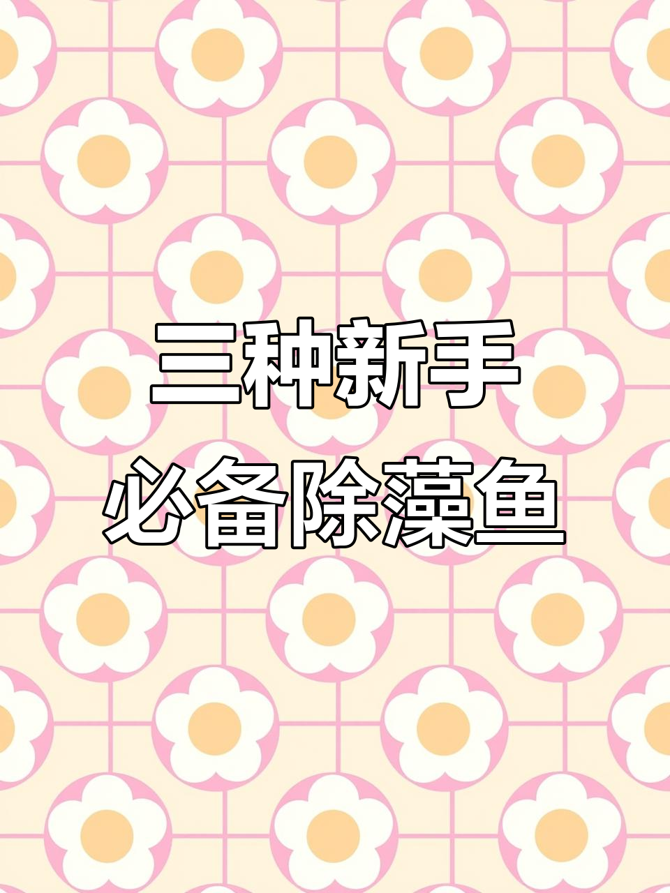 新手必养!三种除藻工具鱼,轻松搞定水草缸清洁